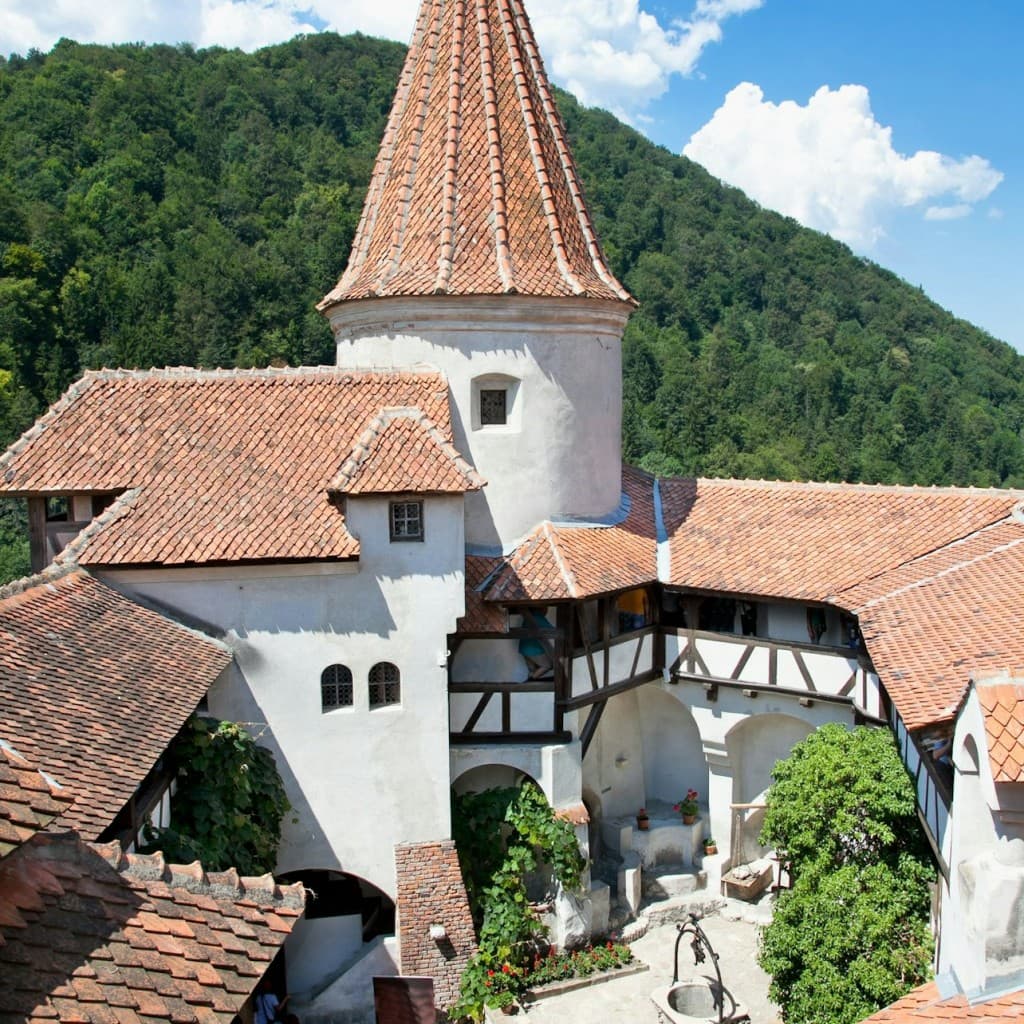 Dracula's Castle: Entry Ticket + Guided Tour