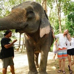 Elephant Retirement Park Phuket: Elephant Care Program + Transfers + Lunch