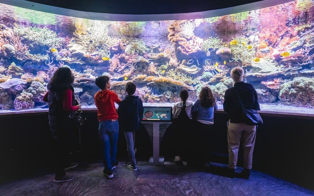 Seville Aquarium Tickets (Entry Tickets)