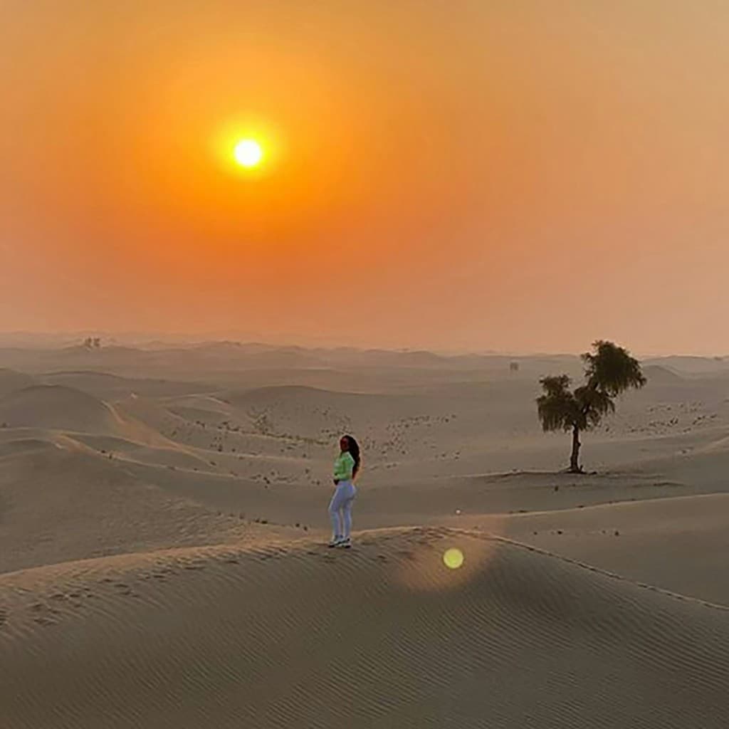 Abu Dhabi: Sunrise Desert Safari Tour + Roundtrip Transfer