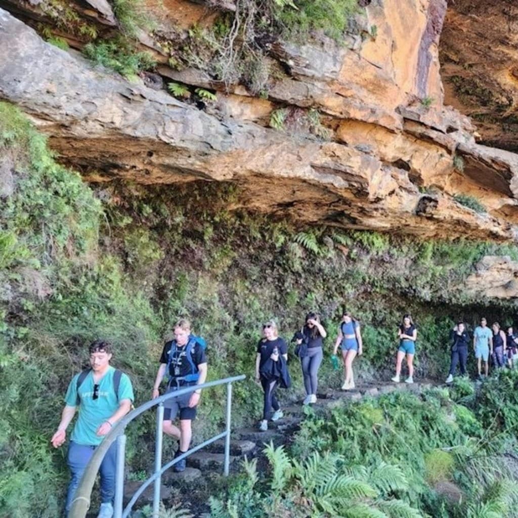 Blue Mountains: Full-Day Guided Tour from Sydney + Waterfall Walk + Lunch