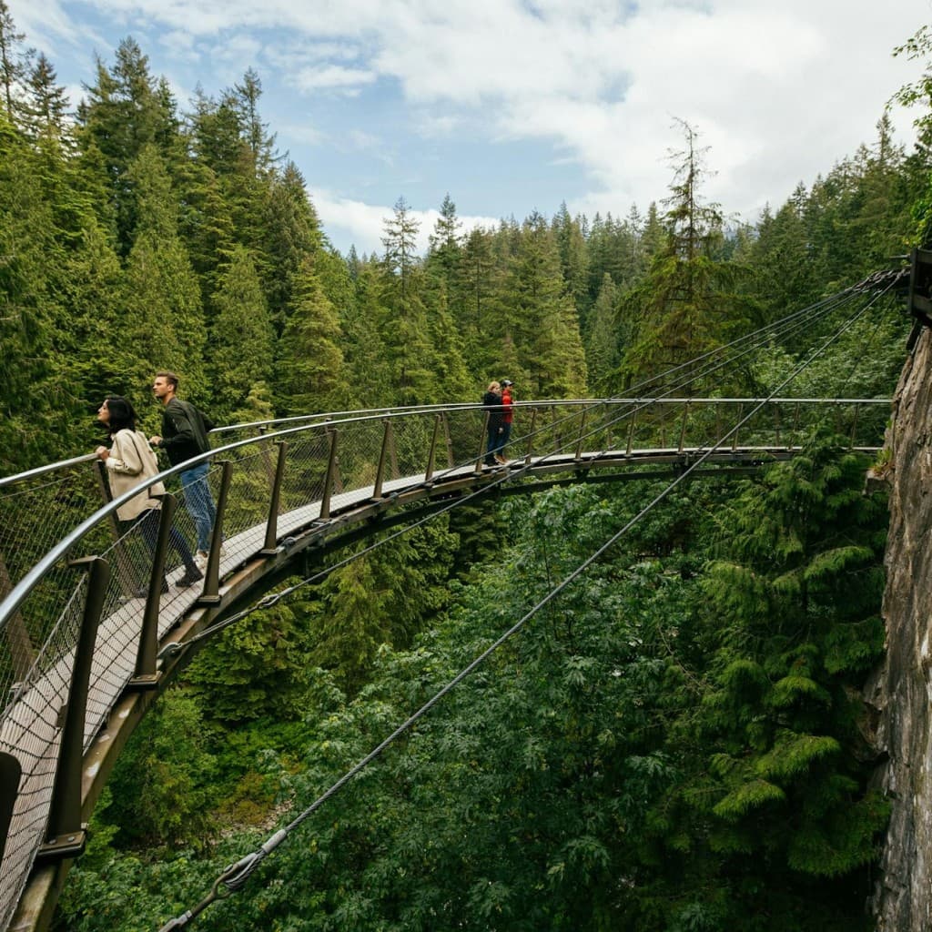 Capilano Suspension Bridge Park: Entry Ticket