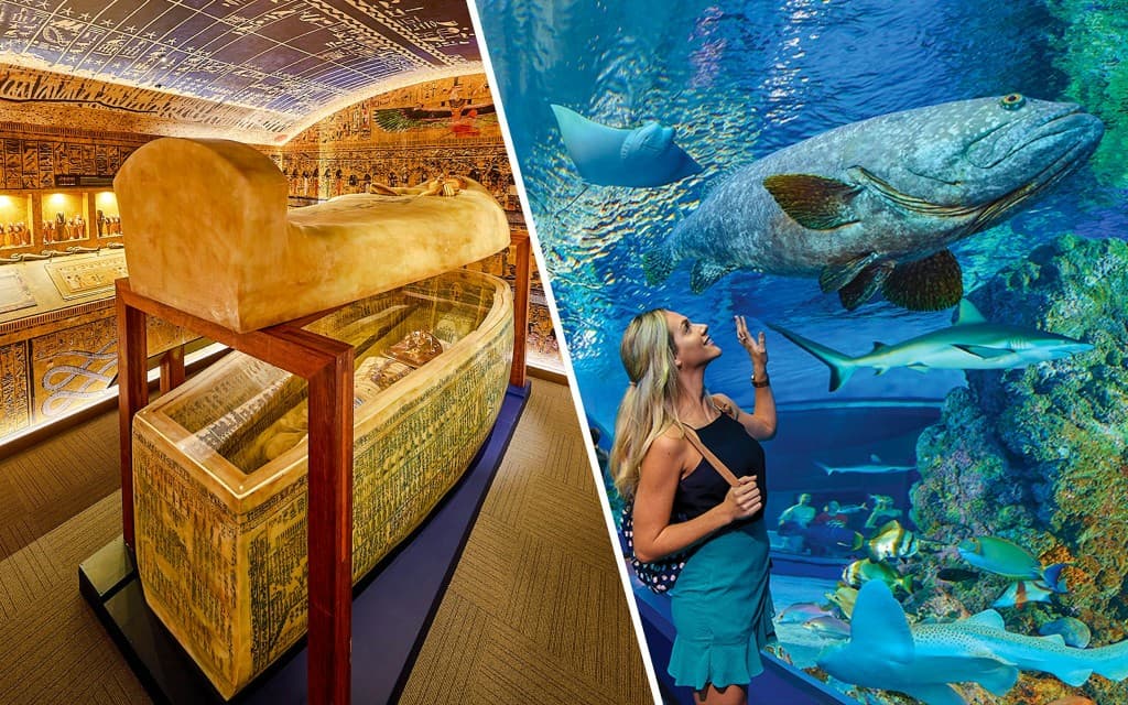 Combo: Tomb of the Pharaohs + Cairns Aquarium Tickets (Combo: Tomb of the Pharaohs + Cairns Aquarium)