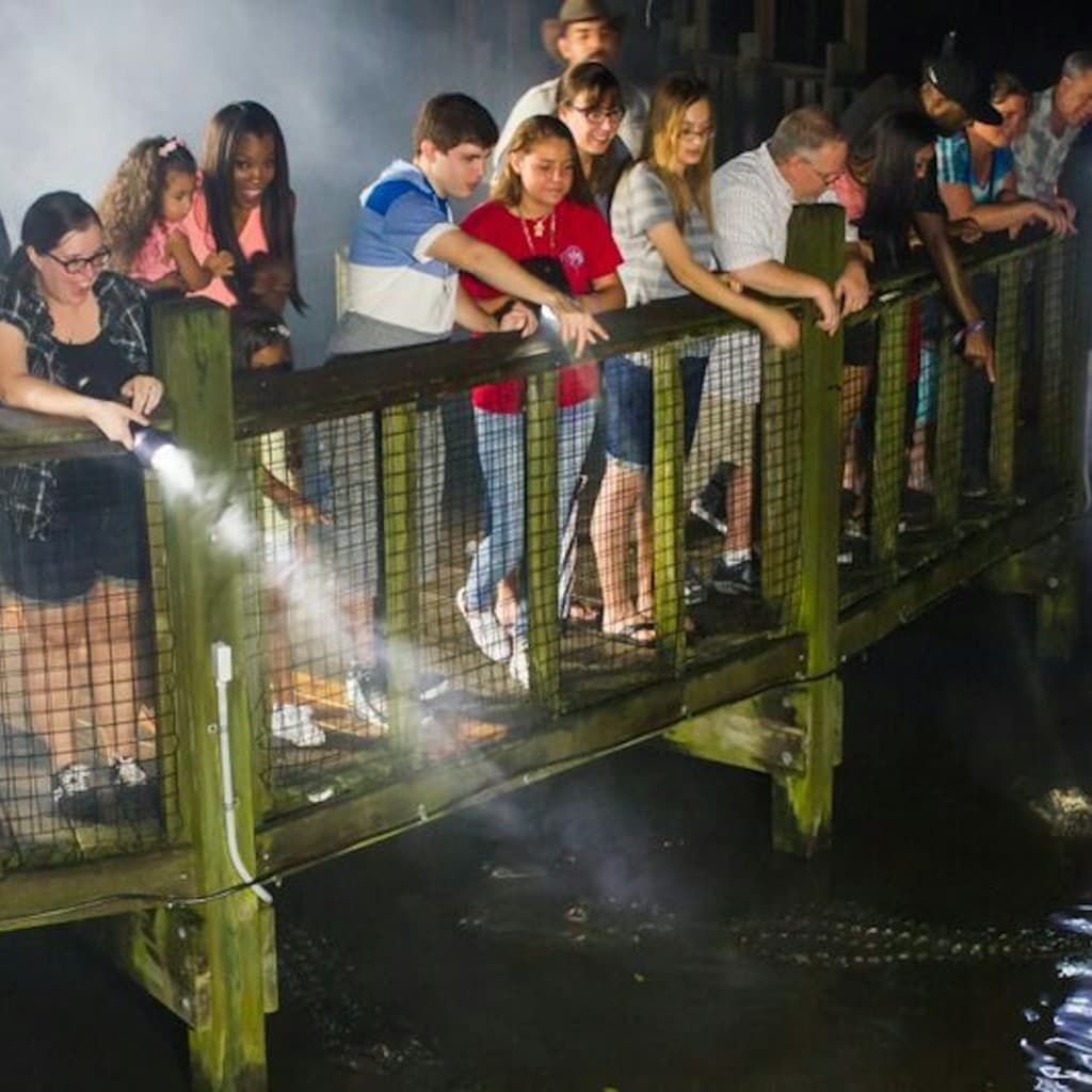 Gatorland Orlando: Gator Night Shine
