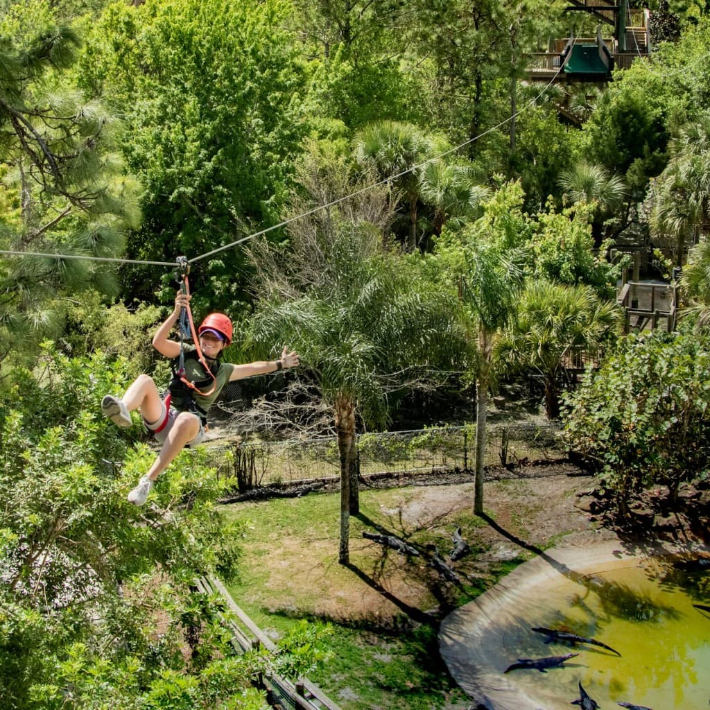 Gatorland Orlando: Screamin' Gator Zip Line