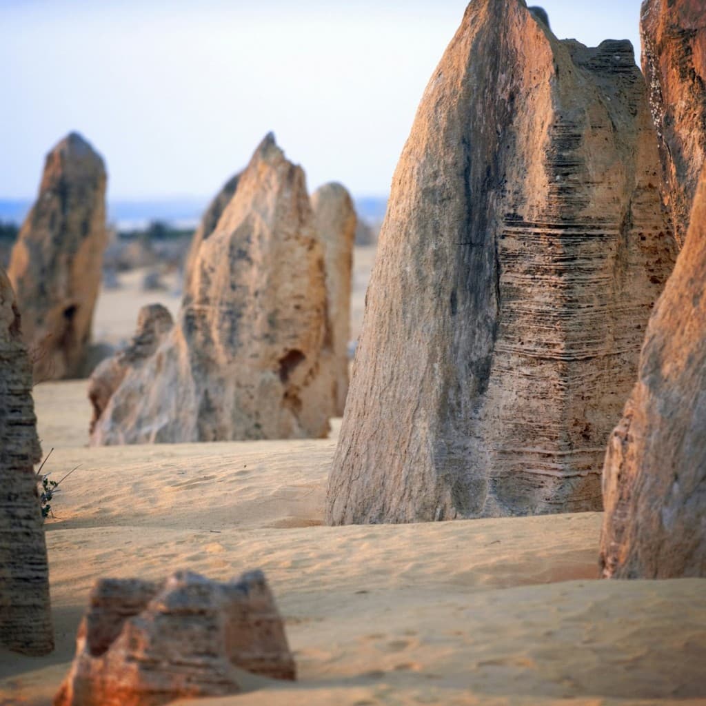 Pinnacles Desert, Yanchep & Swan Valley: Day Tour from Perth + Lunch